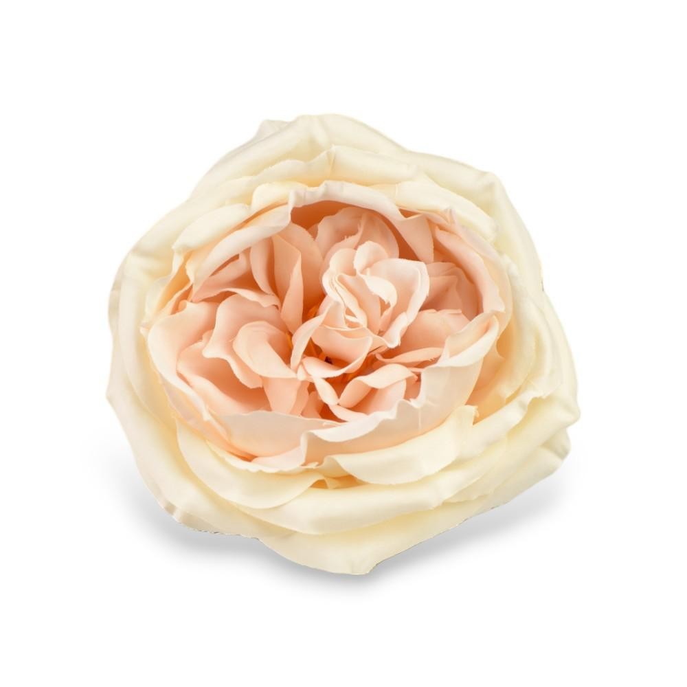 PICK ROSA CABBAGE SAND